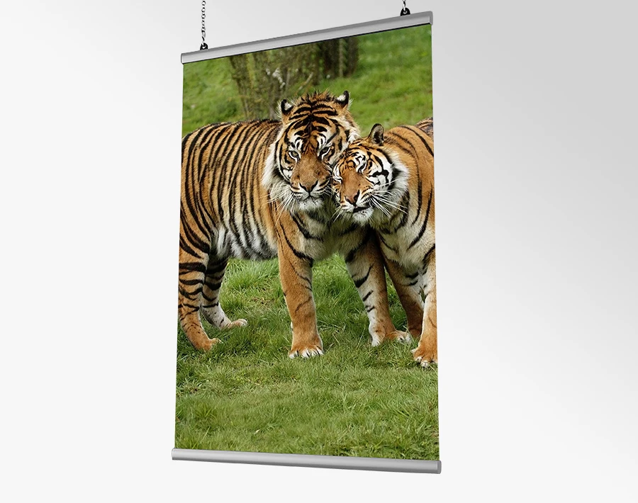 Biały system Hanger z plakatem przedstawiającym tygrysa na zielonym tle.
