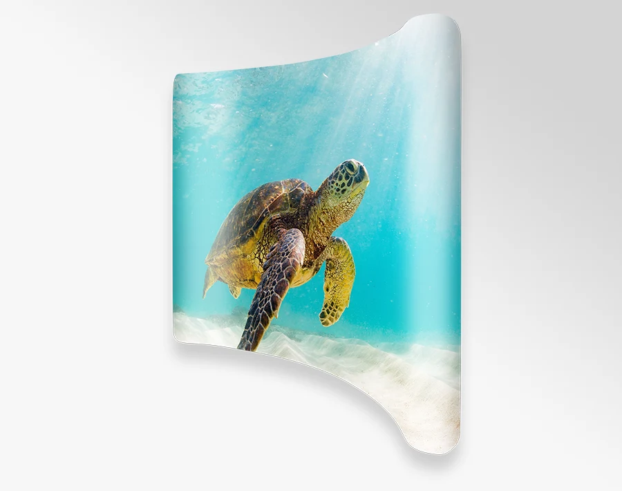 Biała ścianka stelażowa łukowa z grafiką przedstawiającą żółwia w wodzie.