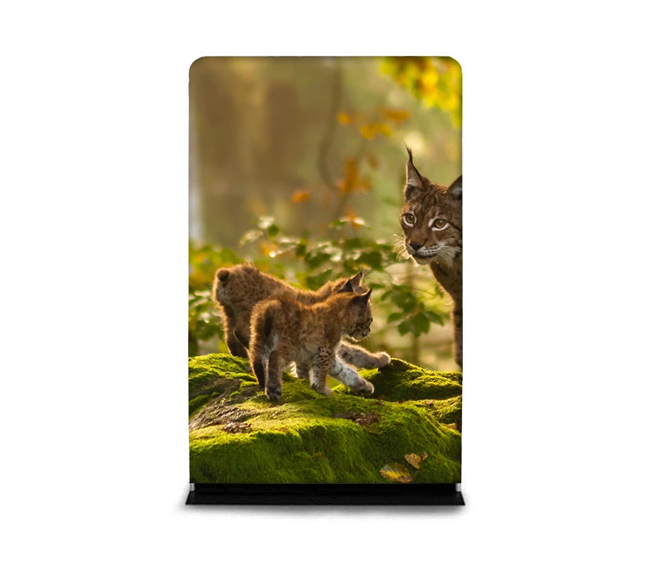 A display stand showing a photo of a lynx cub on a moss-covered rock with an adult lynx in the background.