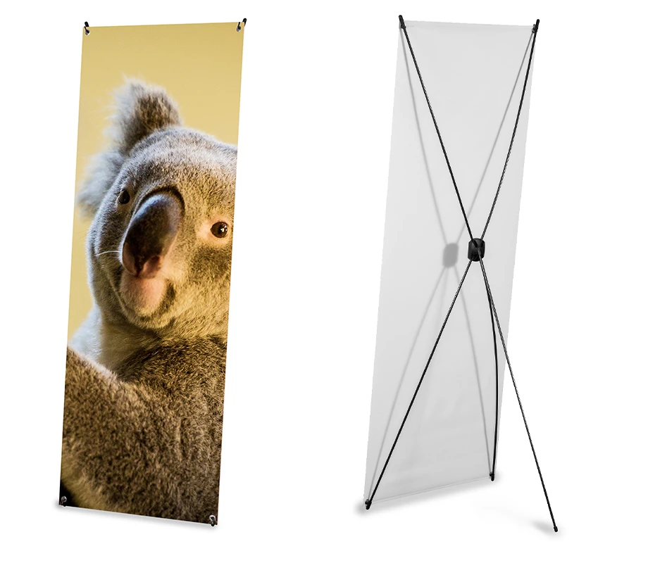 Stojak reklamowy typu X-banner z grafiką koali oraz metalową konstrukcją widoczną z tyłu.