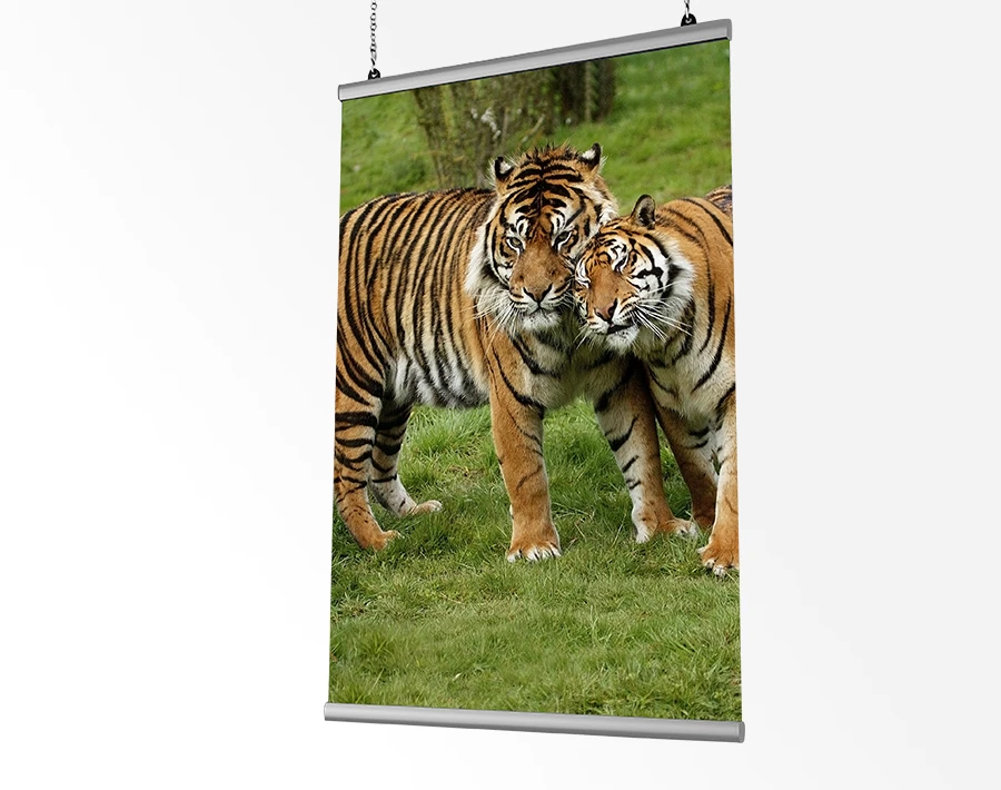 Biała listwa plakatowa z zawieszonym plakatem przedstawiającym dwa tygrysy na trawie.